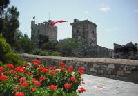 Castle of St. Peter 