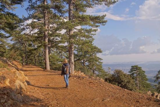 Limassol – Troodos Trekking