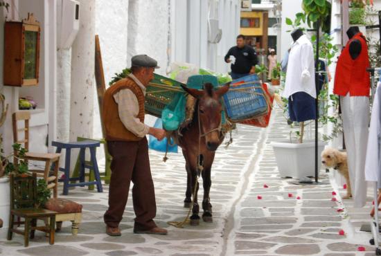 ISLAND TOUR PAROS