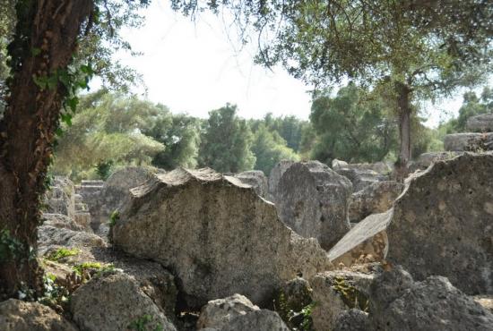 column_pieces_from_the_temple_of_zeus_olympia.jpg