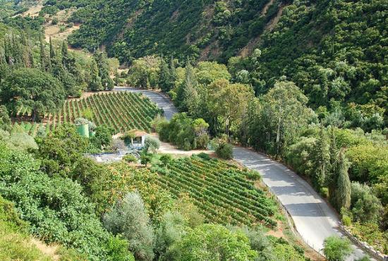 PATRAS- Tour to Aghios Andreas Cathedral &amp;-Achaia Clauss winery 