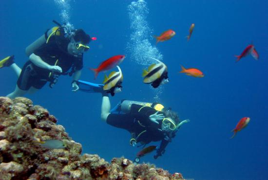 Antalya tour – Diving