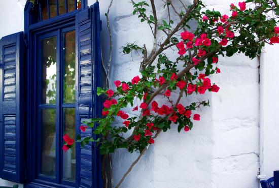 Amorgos- Tour to the Monastery of Hozoviotisa 