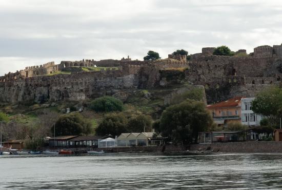 tour to Eva Ouzo distillery, Terriade &amp; Theofilos museums.  
