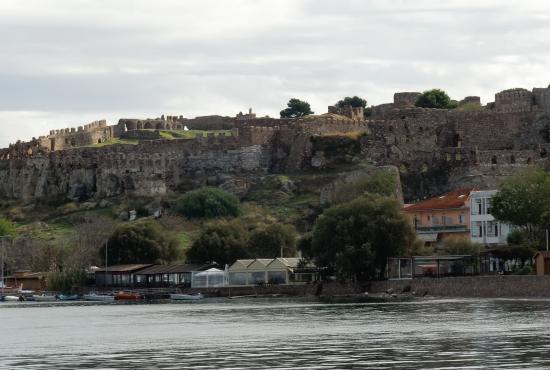 tour to Eva Ouzo distillery, Terriade &amp; Theofilos museums.  