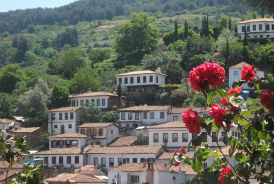 sirince_village_and_roses.jpg