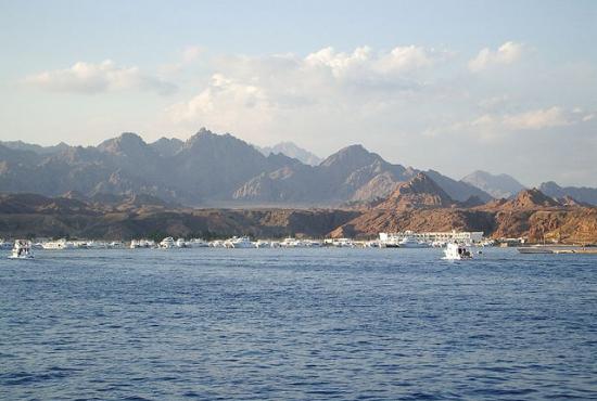 Snorkeling at Sharm El Sheikh