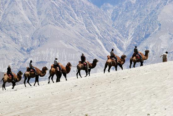 Suez port-Camel and Jeep Safari Tour