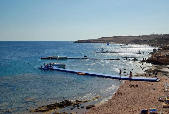 El Sheikh port-Glass bottom boat