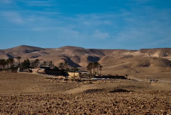 Suez port-Camel and Jeep Safari Tour