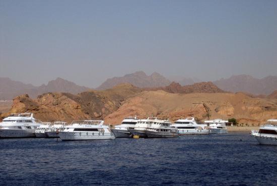  El Sheikh port-Relax at the beach 