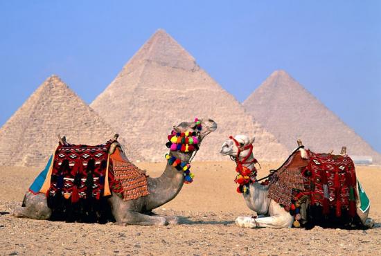 Alexandria port- Camel and Jeep Safari Tour