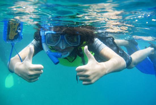 Snorkeling at Sharm El Sheikh