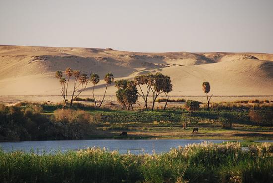 Suez port-Pyramids and the river Nile Tour