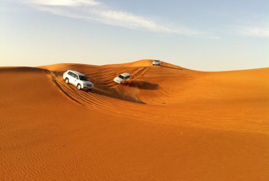 Suez port-Camel and Jeep Safari Tour