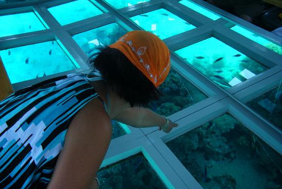 Hurghada port- Glass Bottom Boat