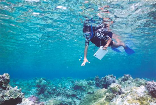 Safaga port -Snorkeling at Safaga