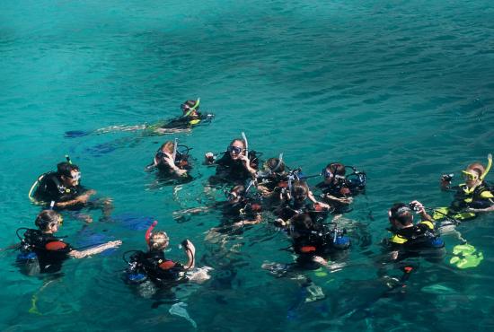 Hurghada port-Snorkeling at Safaga