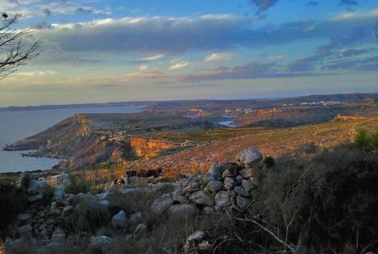 Tour to Maltese mainland by jeep 