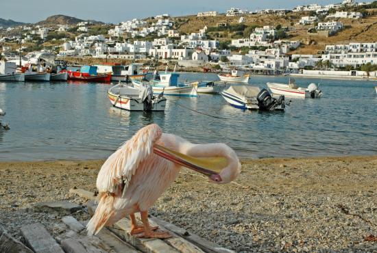 Island Hopping Package 3 days Athens-Mykonos-Syros-Athens 
