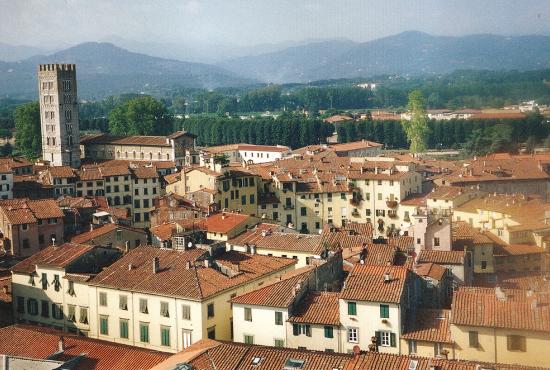 Lucca Half Day Tour