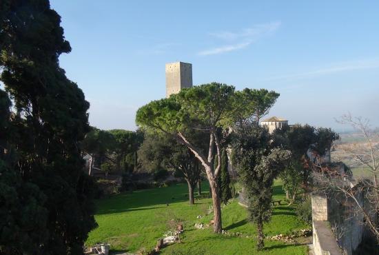 Necropoli of Tarquinia Tour and Winetasting