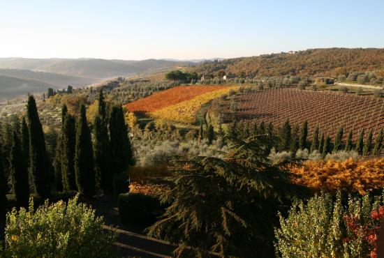 Tuscan Countryside and Wine Tasting