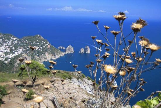 The Isle of Capri Tour