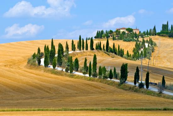 Tuscan Countryside and Wine Tasting