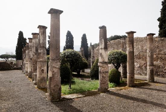 Pompei Half Day Tour