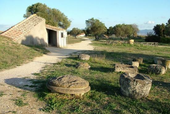 Necropoli of Tarquinia Tour and Winetasting