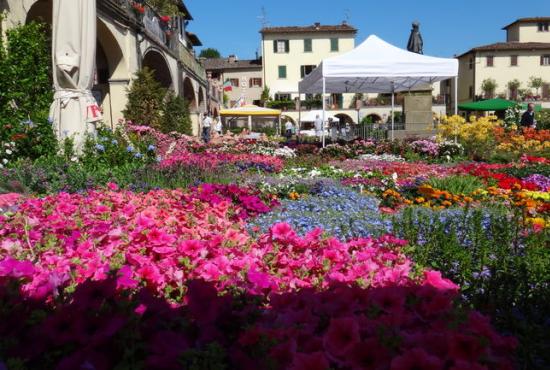 Florence and Chianti Castle Full Day Tour