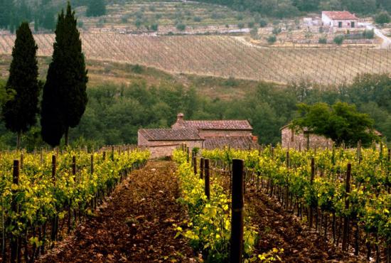 Flavours of Tuscia Tour