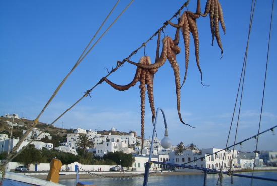 Vue_sur_le_port_de_Mykonos.JPG