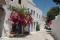 Tinos tour