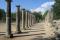 Tour to Ancient Olympia - Archaeological Site &amp; Museum (without free time)