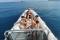 Itea, Half Day RIB Escape – Islets of the Corinthian Gulf