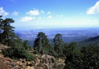 Limassol – Troodos Trekking