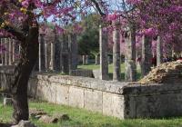 Ancient Olympia