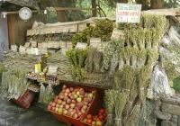 Volos Museum and Mountain Pelion