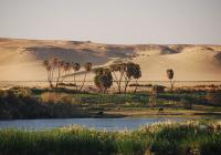 Suez port-Pyramids and the river Nile Tour