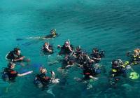 Hurghada port-Snorkeling at Safaga