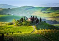 Tuscan Countryside and Wine Tasting