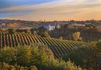 Flavours of Tuscia Tour